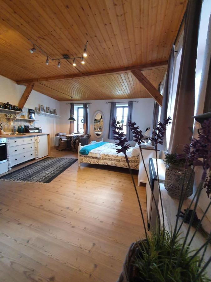Apartment Vintage Rumburk